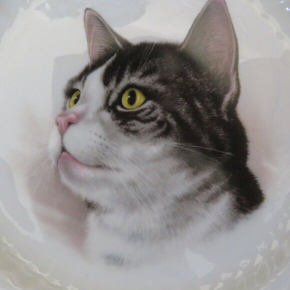 Royal Staffordshire Bone China CAT Plate Gold Rim Vintage (F69) - Picture 5 of 6